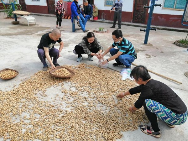 圖片2_副本.jpg